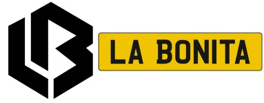 Description of the image